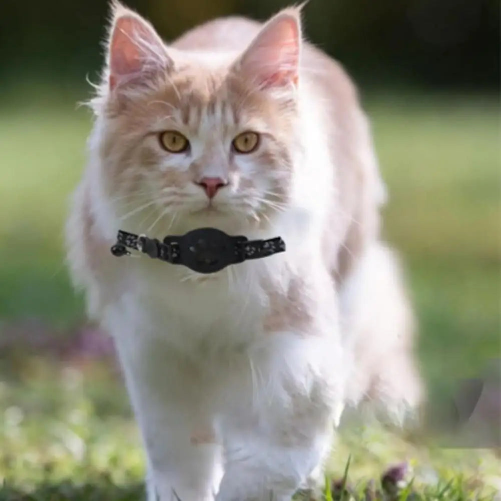 Smart GPS Pet Tracker Collar – Anti-Lost for Cats & Dogs