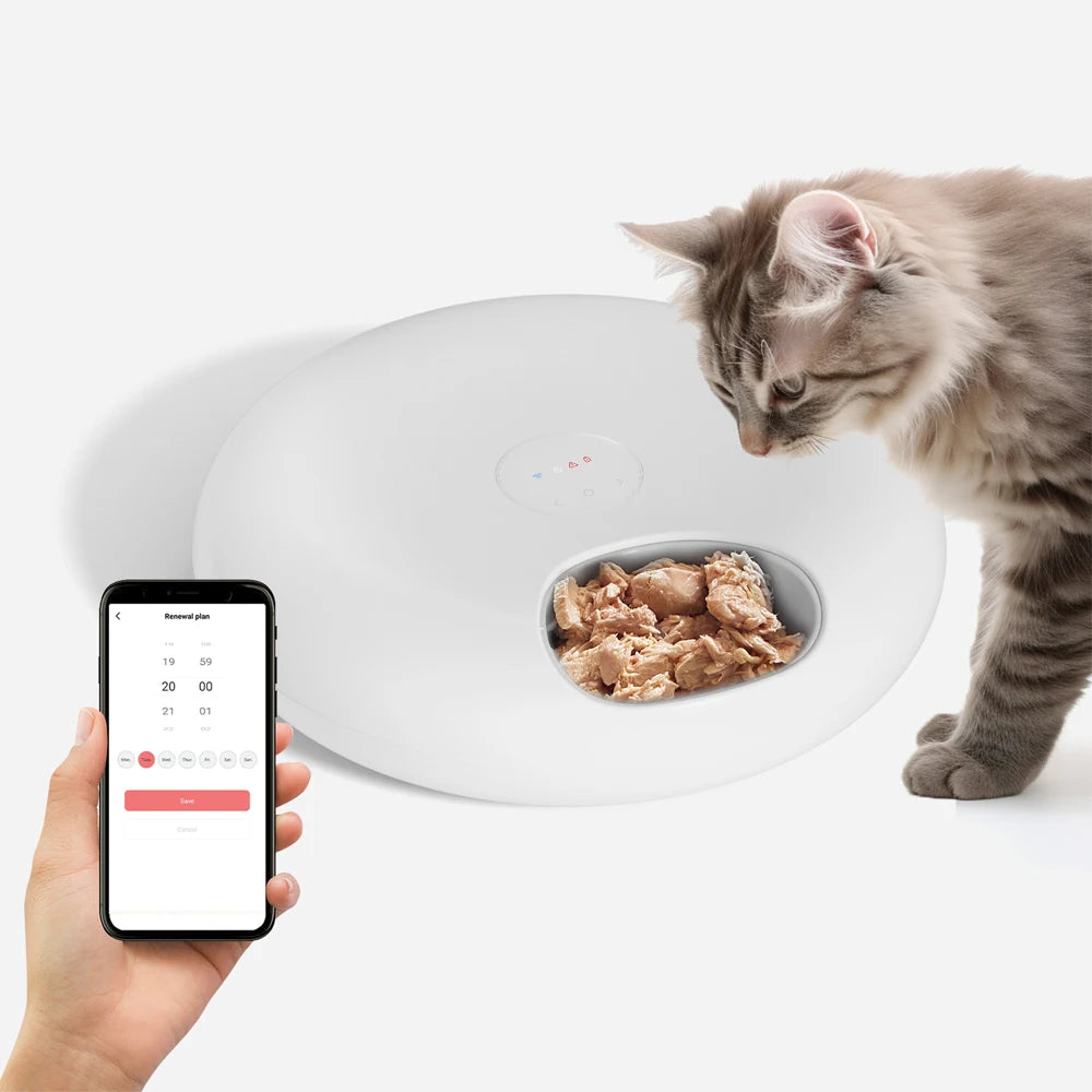 Smart Pet Feeder – Feed Your Pet Anywhere, Anytime via WiFi